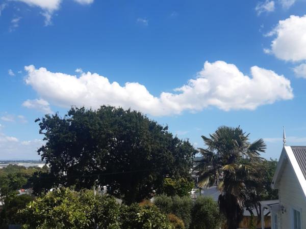 Harbour View Cottage : photo 4 de la chambre cottage 1 chambre avec vue sur le jardin