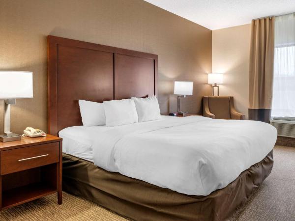 Comfort Inn : photo 4 de la chambre chambre lit king-size