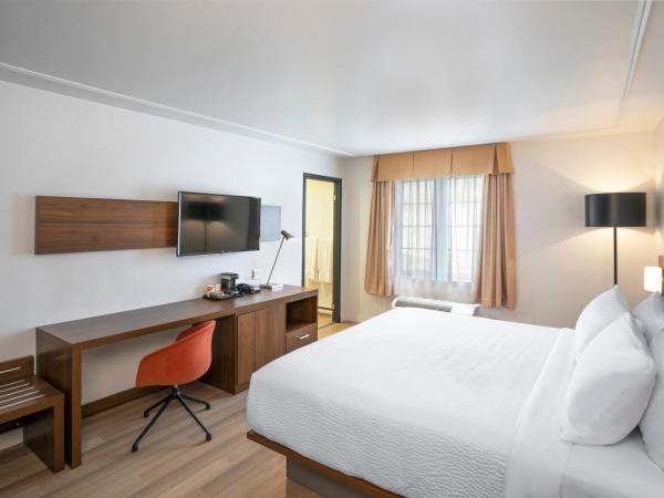 Quality Inn : photo 2 de la chambre chambre lit king-size standard - non-fumeurs / pas d'animaux domestiques