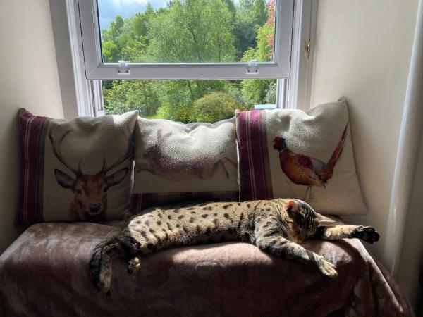 West Highland Way Hotel : photo 10 de la chambre chambre double ou lits jumeaux deluxe – vue sur jardin