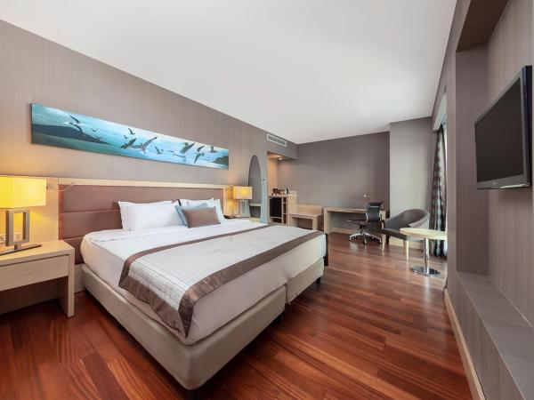 Park Dedeman Bostanci Hotel : photo 2 de la chambre chambre club
