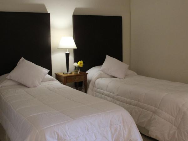 Uvas Apart Hotel : photo 6 de la chambre appartement avec terrasse