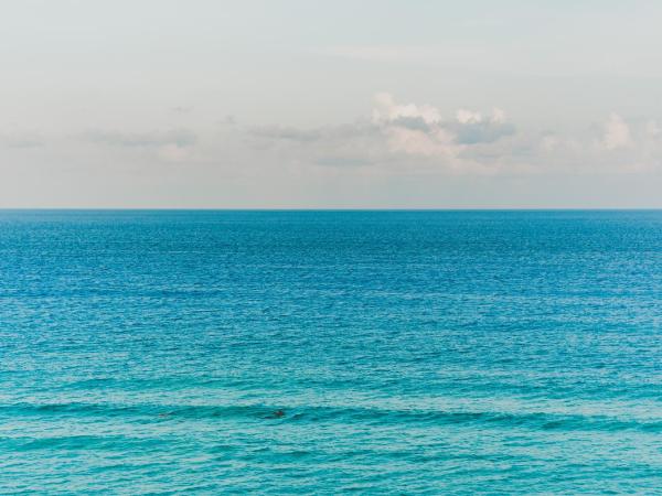 Rooftop Private Jacuzzi in beach front penthouse : photo 6 de la chambre penthouse