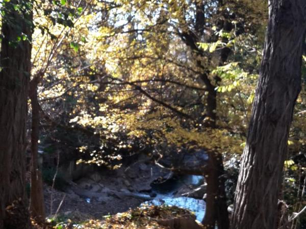 Hotel Bel Alp Manosque : photo 6 de la chambre chambre triple
