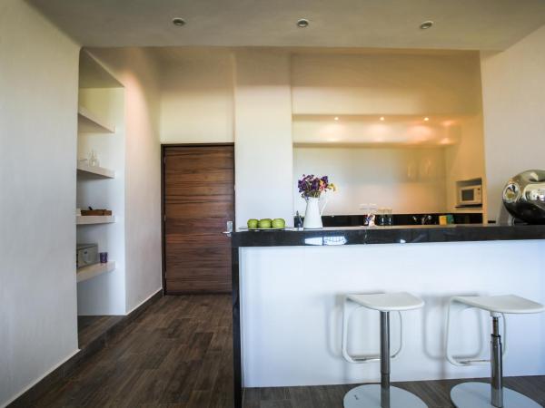 Casa Tortugas Boutique Hotel, An Authentic Hidden Gem in Cancun : photo 4 de la chambre suite supérieure - vue sur rue