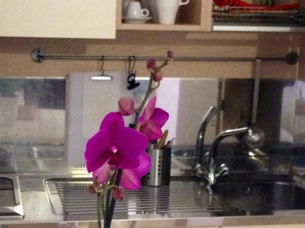 Olly Apartments : photo 3 de la chambre studio