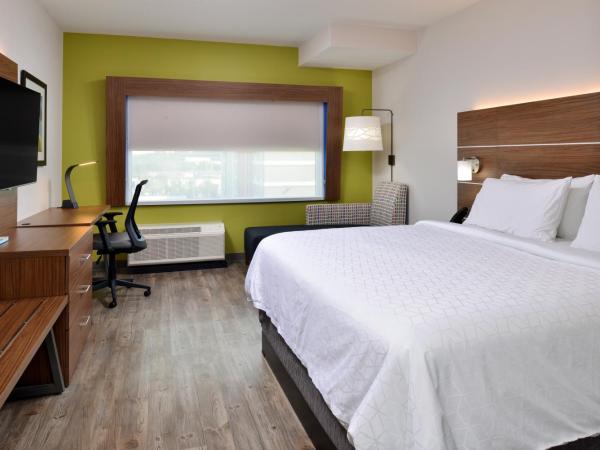Holiday Inn Express Orlando - South Park, an IHG Hotel : photo 4 de la chambre chambre lit king-size standard - non-fumeurs 