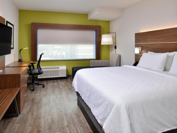 Holiday Inn Express Orlando - South Park, an IHG Hotel : photo 4 de la chambre chambre lit king-size standard