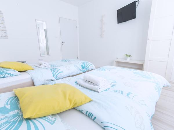 The Dots Hostel : photo 2 de la chambre chambre lits jumeaux standard avec salle de bains commune