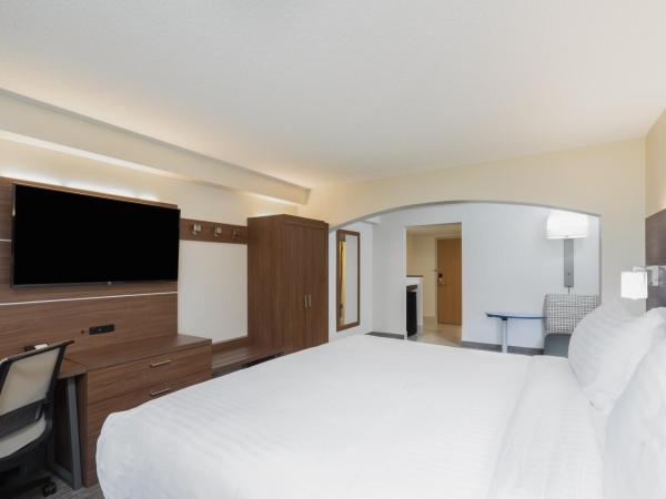 Holiday Inn Express Hotel & Suites Louisville East, an IHG Hotel : photo 2 de la chambre chambre lit king-size standard