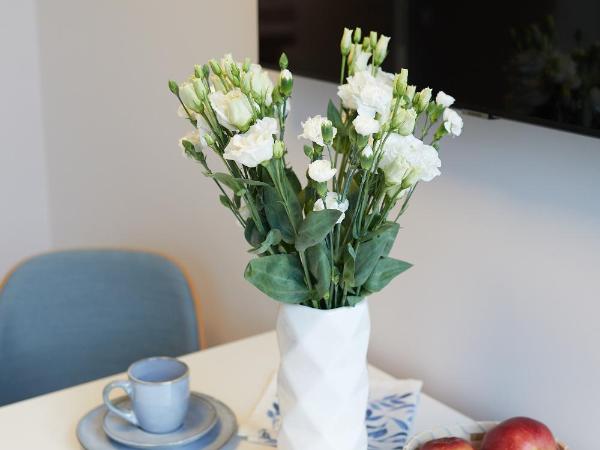 Aparthotel Park - By The Sea : photo 5 de la chambre studio