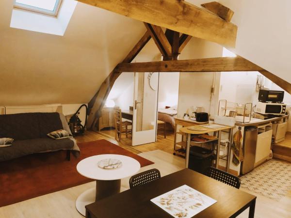 Les Bains Douches : photo 3 de la chambre appartement 1 chambre