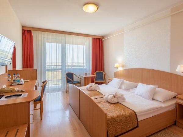 Hotel Barátság : photo 1 de la chambre chambre double (plus 1 lit d’appoint)