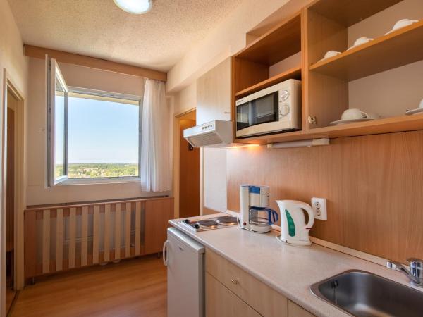 Hotel Barátság : photo 4 de la chambre appartement 1 chambre (plus 1 lit d’appoint)