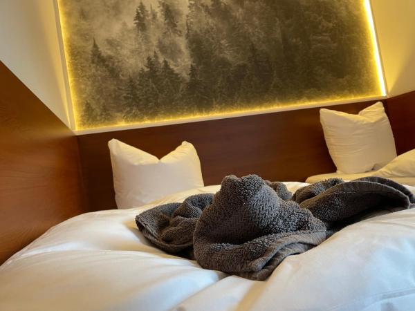 Safir przy samym WYCIĄGU : photo 6 de la chambre appartement avec vue sur la montagne