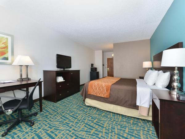 Comfort Inn & Suites Fort Lauderdale West Turnpike : photo 7 de la chambre chambre lit king-size - non-fumeurs
