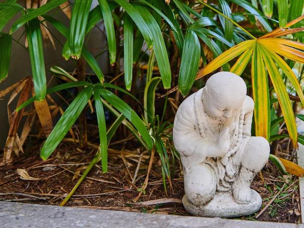 Julians Apartments : photo 8 de la chambre studio avec cour