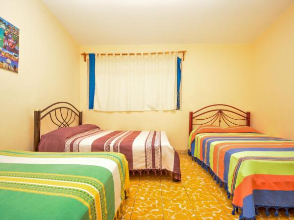 Los Nardos Hostel -pet friendly- : photo 2 de la chambre chambre familiale
