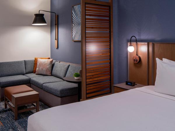 Hyatt Place Tampa Downtown : photo 2 de la chambre chambre king standard avec canapé-lit