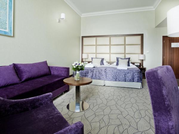 Kosher Hotel King David Prague : photo 9 de la chambre suite de caractère avec accès au spa