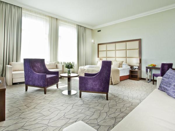 Kosher Hotel King David Prague : photo 9 de la chambre suite junior avec accès au spa