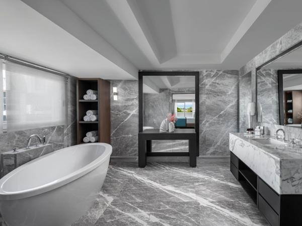 Papillon Ayscha Resort & Spa : photo 4 de la chambre suite lit king-size