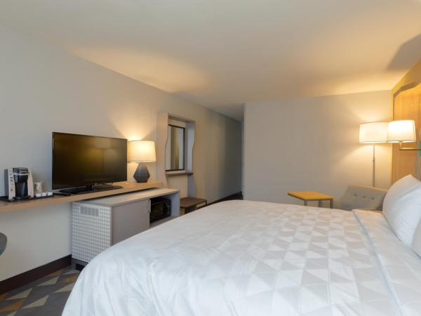 Holiday Inn & Suites Orlando SW - Celebration Area, an IHG Hotel : photo 8 de la chambre chambre king standard avec canapé-lit
