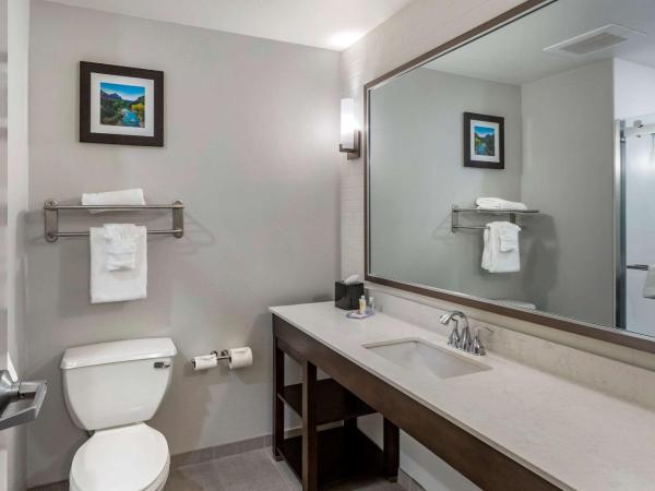 Comfort Inn & Suites Salt Lake City Airport : photo 7 de la chambre suite lit king-size avec canapé-lit - non-fumeurs