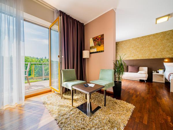 Maximus Resort : photo 3 de la chambre suite 1 chambre