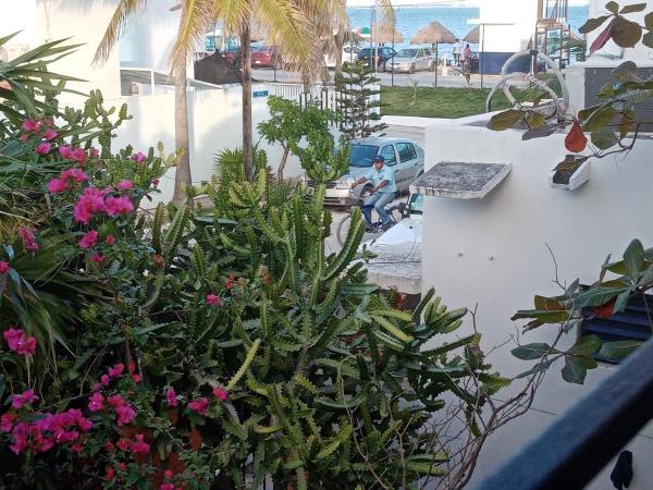 Caribbean Paradise : photo 6 de la chambre chambre double avec balcon - vue sur mer