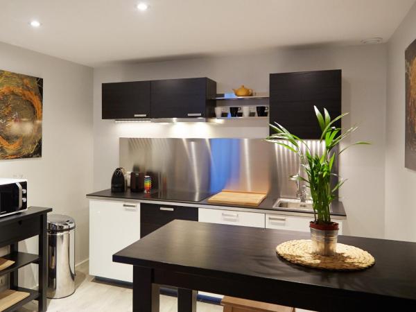 La Résidence Arles Centre : photo 7 de la chambre grand appartement avec toit en verre