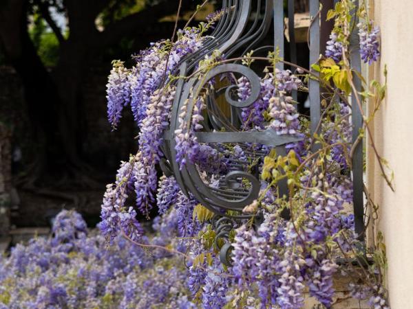 Hotel Villa Carlotta : photo 5 de la chambre villa - vue sur jardin - annexe