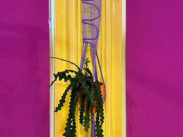 Art Hostel : photo 6 de la chambre lit dans dortoir mixte de 8 lits