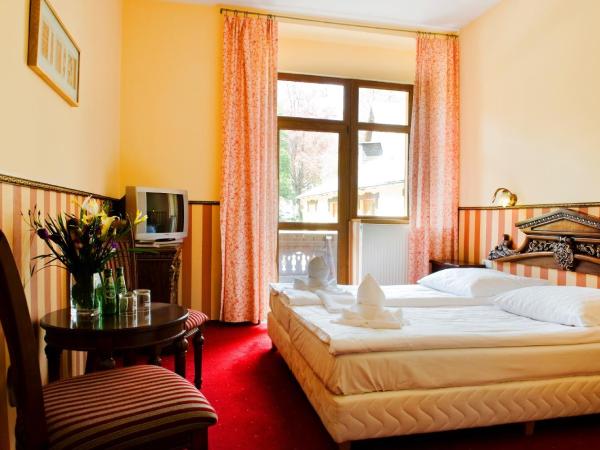 Perła Karkonoszy SPA : photo 6 de la chambre chambre premium 