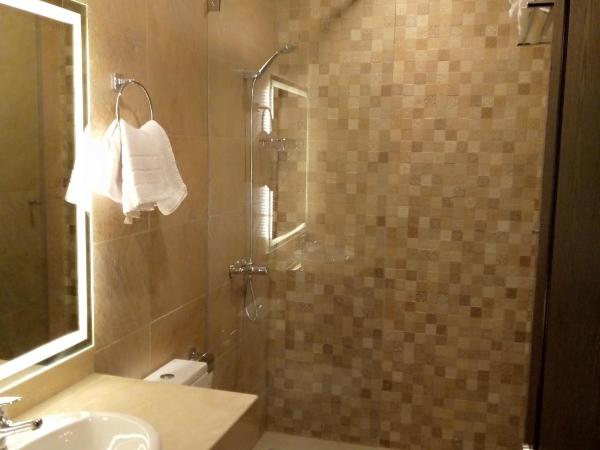 Palm's Motel : photo 3 de la chambre chambre simple