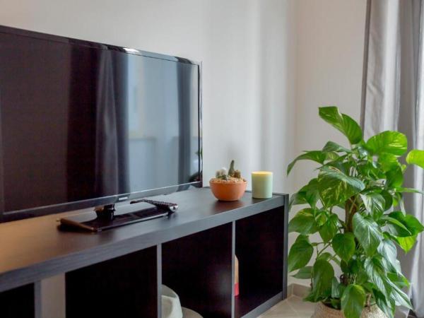 Smy Santa Eulalia Algarve : photo 4 de la chambre appartement 1 chambre