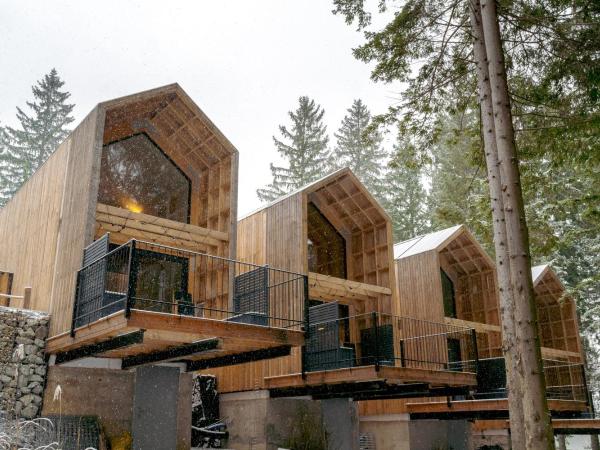 Leśna Kąpiel : photo 4 de la chambre deluxe chalet with a view and sauna