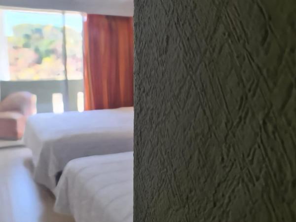 Hotel Borda Cuernavaca : photo 10 de la chambre suite quadruple standard