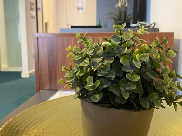 Main Square Hostel : photo 1 de la chambre studio