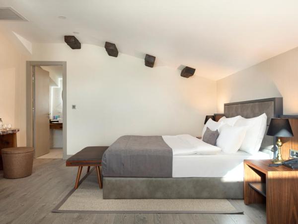 Buem Hotel Koşuyolu : photo 6 de la chambre suite deluxe