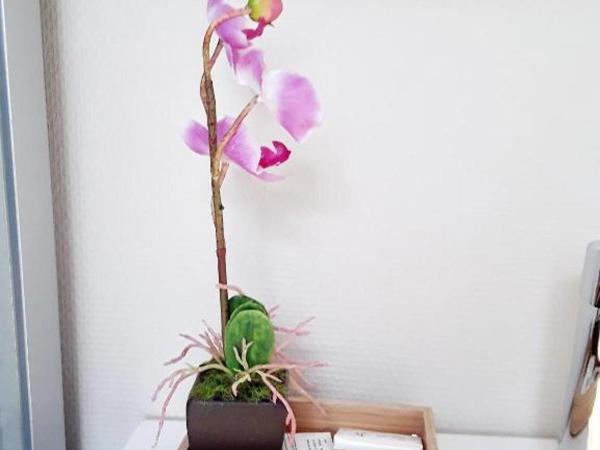 Le Jardin du Thé Bord de la Meuse : photo 6 de la chambre chambre triple