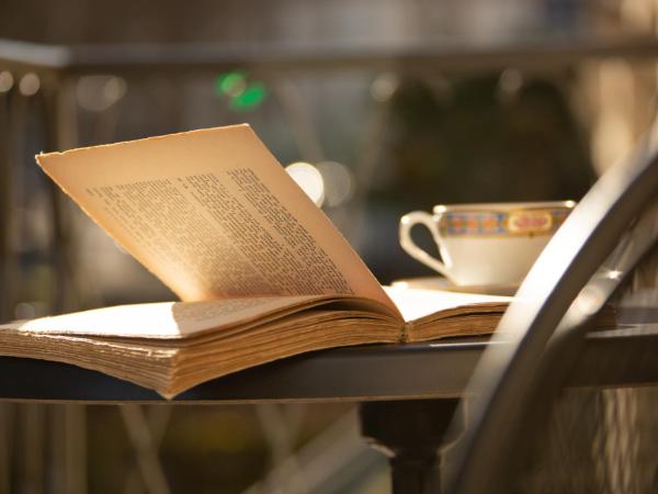 Hôtel De Charme Le Chêne Vert : photo 1 de la chambre chambre double standard