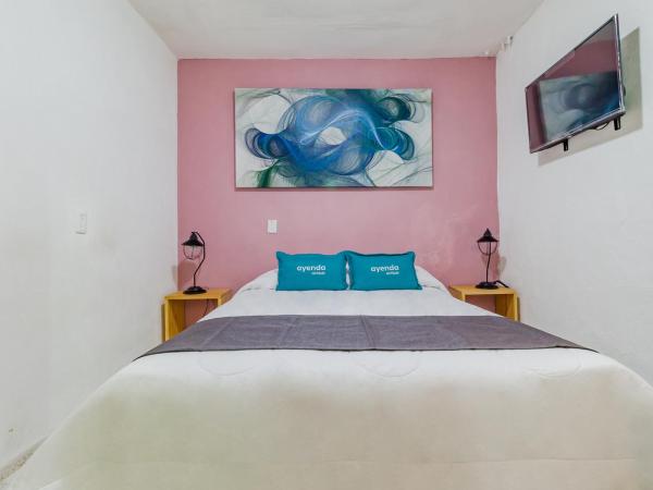 Ayenda Los Colorines de Coyoacán : photo 2 de la chambre chambre double