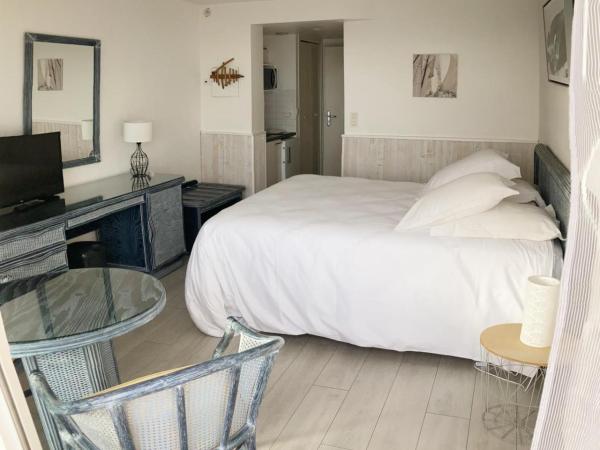 Louison Appart & Suite : photo 4 de la chambre studio double