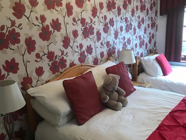 The Laurels Bed and Breakfast : photo 2 de la chambre chambre double avec douche