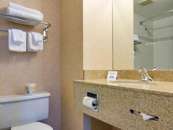 Days Inn by Wyndham Calgary South : photo 3 de la chambre chambre lit queen-size premier - non-fumeurs