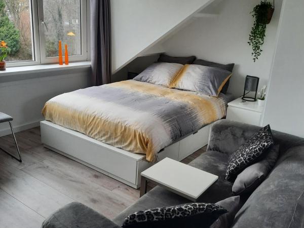 Studio 76 Groningen met gratis leenfietsen : photo 4 de la chambre chambre double deluxe