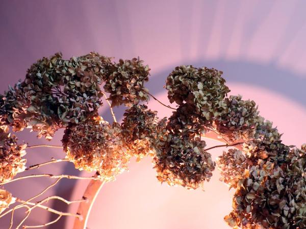 Art Hostel : photo 4 de la chambre chambre lits jumeaux pour personnes à mobilité réduite