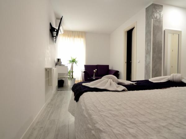 Hostal Alexis Madrid : photo 4 de la chambre chambre double premium