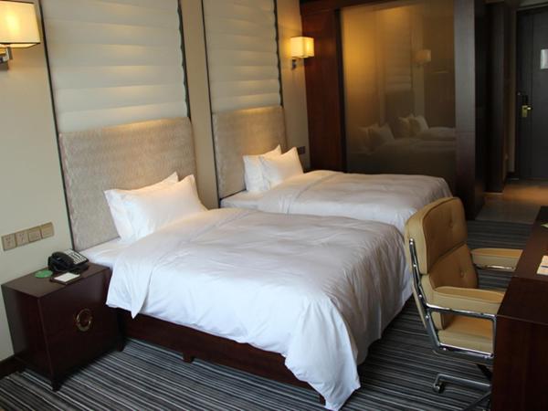 Sport Hotel : photo 3 de la chambre chambre lits jumeaux deluxe